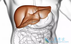 �������͸��׸�Ⱦ����ְ�֢�������վ��������