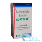 ��������(Bortezomib)���ƹ���������ҩ���������ѡ��