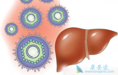 ���Ʊ��ε�ҩ��￨��Τ����ҩ��ȫ����Σ�