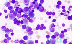 ���������κ������Ʒ�������Щ��