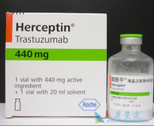 �����鵥��(Trastuzumab)Ƥ�¸�ҩ�ɸ����ٰ����ߴ���������������