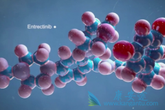 ���ް��ְ���ҩ���������(Entrectinib)����������