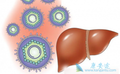 ���ο�������Ҫ������