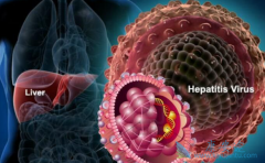 �Ҹκ��Ŀ�����ʲô����ʲô���ã�