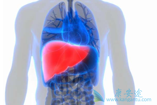 丙肝传播途径 丙肝传播途径