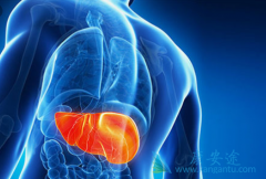 ���δ���;����Ԥ������