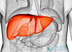 ���ο������Բ�һ��˵�����б���