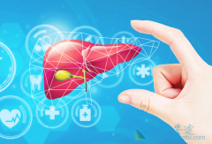 ���͸������Ƶĺ��������ڼ�Ҫע��ʲô��