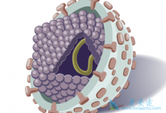 ��Щ��Ϊ���ױ����ӵı��͸��׵Ĵ���;��