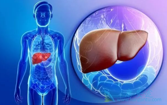 丙肝治疗方法 丙肝治疗方法