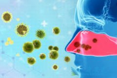 ���������ƺ���ʲô���Ʊ���Ч����ã�