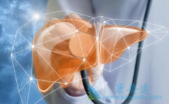 ���ɸ����Σ�������������