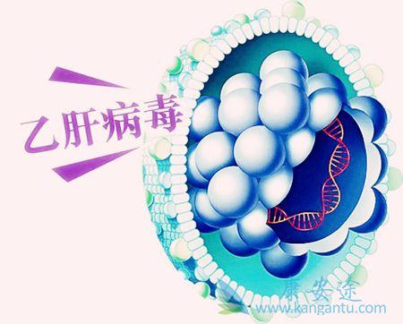 乙肝抗体 乙肝抗体