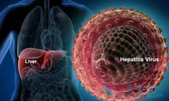 �����������������߱���������Ч�ʣ�