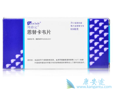 恩替卡韦说明书 恩替卡韦说明书