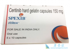 ���������������ALK���Ƽ������������߻��������� 