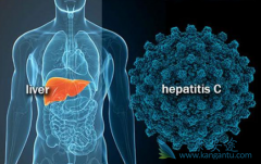 ʲô�Ǳ��β�����������������