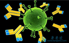 ��Щ����Ҫ���ο���ɸ�飿���ο�����������ô�죿