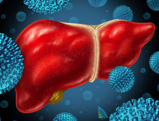 病毒性丙肝 病毒性丙肝
