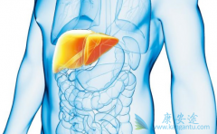 �Ҹ�С�����м������ͣ��Ҹ�С������������