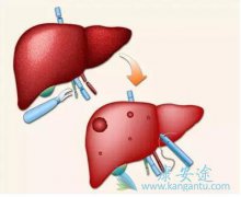 �Ҹ����԰���������ν����