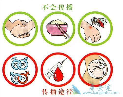 丙肝抗体阳性 丙肝抗体阳性