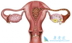 ����������Ϊ�ѳ������ƴ�����Щ���棿