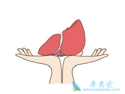 乙肝核心抗体阳性是什么意思 乙肝核心抗体阳性是什么意思