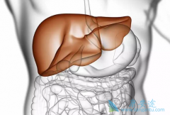 �����Ҹ����԰�����˵��û���ҸΣ�