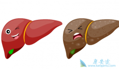 �����Ҹο������Ե�ԭ����ʲô��