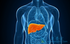 ���λᴫȾ�𣿱��δ���;����ʲô��