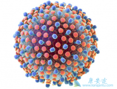 ������ʲô�����������Ƶĺ���