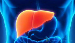 ���β����������Ժ����Էֱ����ʲô���壿