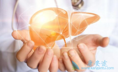 �Ҹβ���Я���߲��������ڲ��������������