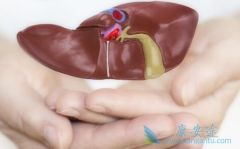 �����Ҹι�����ΪʲôҪ����HBV DNA��⣿