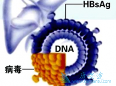 ��Щ�Ҹλ��߲���Ҫ�����Ҹο��������ƣ�