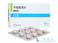 �����������������濵���������������Ƹ�ת�ƽ�ֱ������Ч�ʸ�