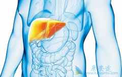 �Ҹβ���Я���ߴ�Ⱦ�𣿴�Ⱦ��ǿ��