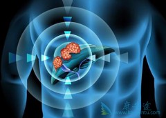 �Ҹκ��Ŀ�������������