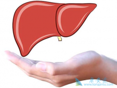 �����Ҹο������Դ���ʲô���壿