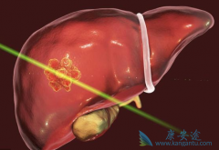 �Ҹ����԰���ձ�/�Ҹ�������ձ�������Щ���ݣ�