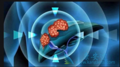 �Ҹ�����ָ��ֱ����ʲô���壿