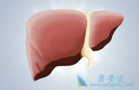 乙肝e抗体阳性是什么意思 乙肝e抗体阳性是什么意思