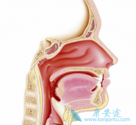 ���ʰ�֢״�ͱ��ʰ��ķ���ԭ������Щ��