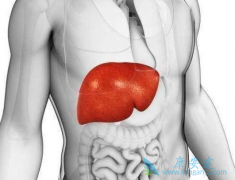 �Ҹο���������ʲôʱ�����ͣҩ��