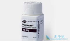 �������(Dacomitinib)���������Ƿ��Ӱ��ҩ����Ч��