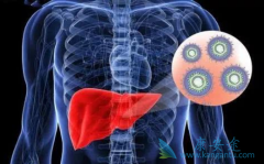 �Ҹο�����������β��ܻ�ø�����Ч��