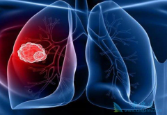 �������������ڷ��۰���Ч��