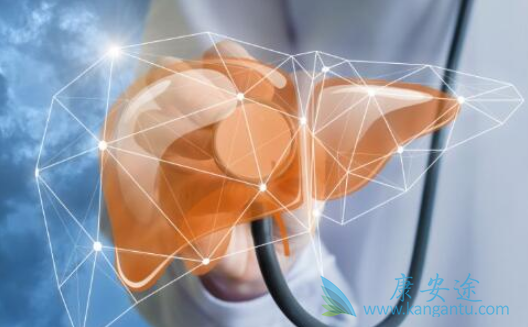 丙肝病毒 丙肝病毒