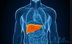 ���β���Я������ָ������Ⱥ��